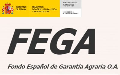 Ecorregimenes de la PAC 2023 ¿Cómo quedan las Cubiertas Vegetales en los Importes Provisionales Revisados publicados?