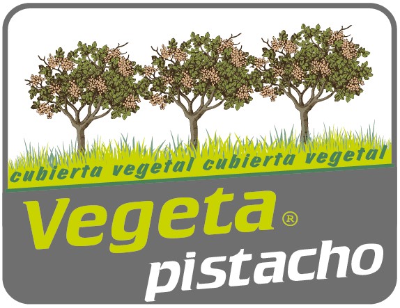 Vegeta pistacho Vegeta pistacho